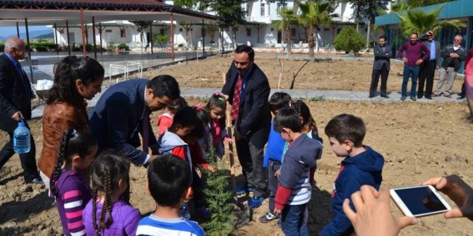 Bozyazı’da Minik Öğrenciler Fidan Dikti