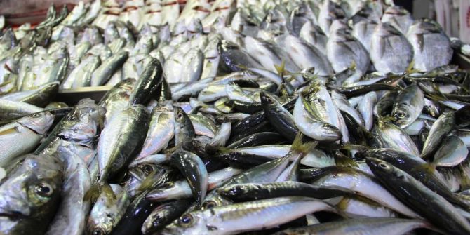 Av Sezonu Kapandı, Balık El Yakıyor