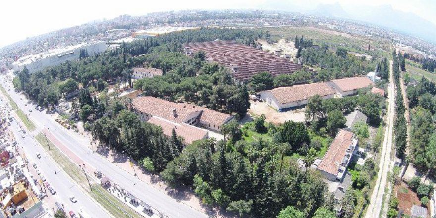 Dokuma’da Güçlendirme Başladı