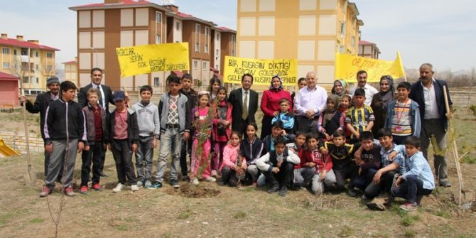 Van’da Fidan Dikimi