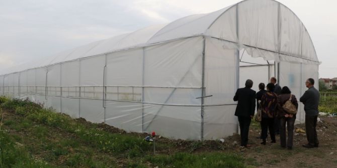 Büyükşehirden Bağcılık Araştırma Enstitüsüne Sera Desteği