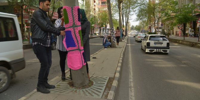 Diyarbakır’da Ağaçlar Örgülerle Süslendi