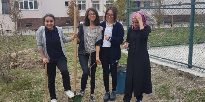 İpekyolu Belediyesinden Fidan Dikimi