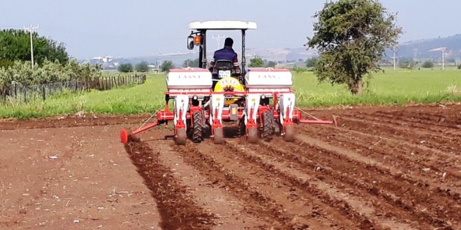 Osmaniye’de Yer Fıstığı Ekimi Başladı