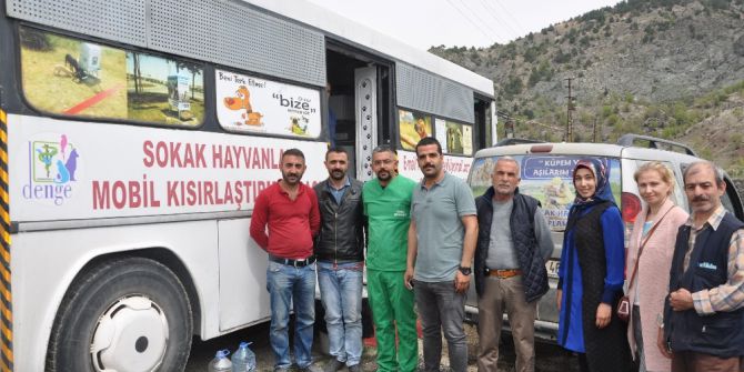 Sokak Hayvanlarının Kısırlaştırılmasına Başlandı