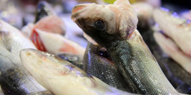 Tezgahları Kültür Balıkları Süslüyor