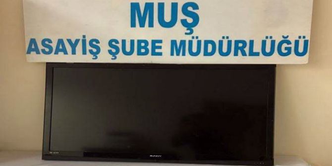 Muş’ta Asayiş Operasyonları