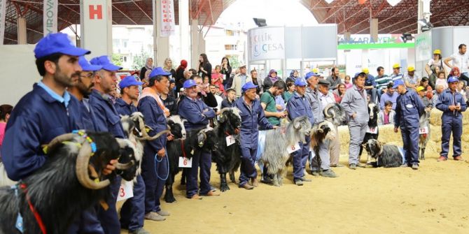 3. Teke Yöresi Tarım Ve Hayvancılık Fuarı