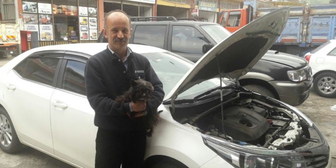 Tamirci Çırağı ’Çakıl"