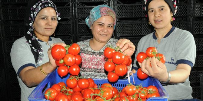 Domates Doları Da Euroyu Da Solladı