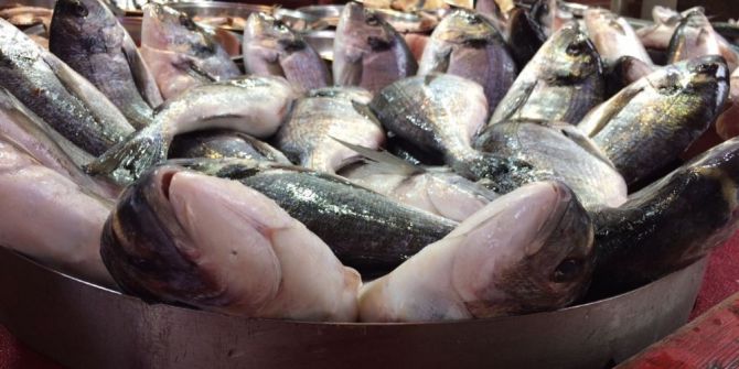 Deniz Balıklarındaki Yüksek Fiyatlar Kültür Balıklarını Da Etkiledi