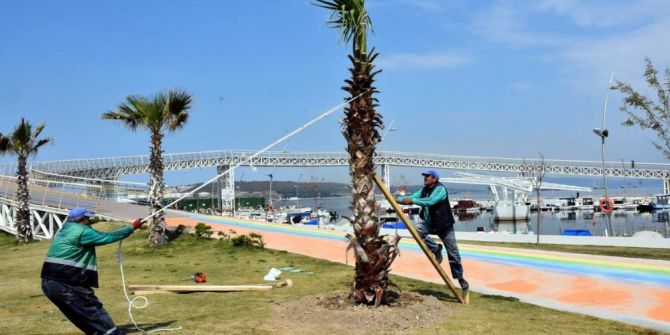 Aliağa Belediyesinden Kente Yeşil Takviyesi
