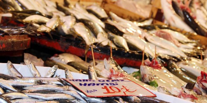 Av Yasağı Başladı Balık Fiyatı Arttı