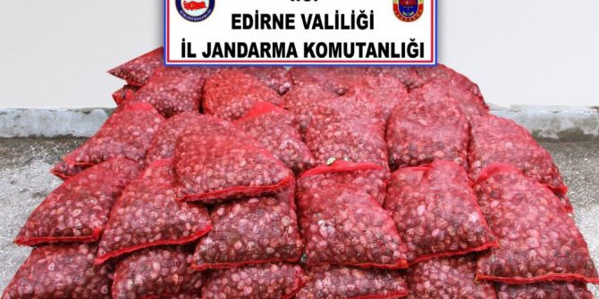 Edirne’de 2 Ton Canlı Midye Ele Geçirildi