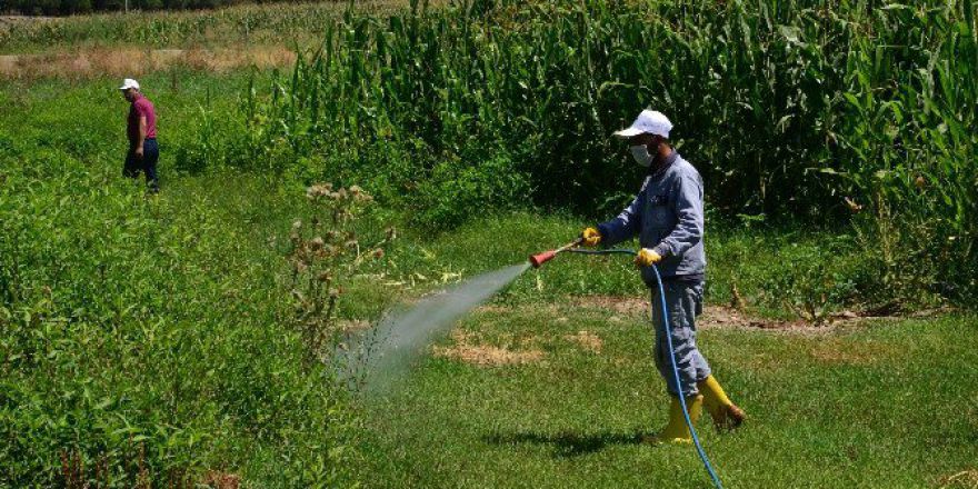 Kırsal İlçelerde İlaçlama Çalışmaları Sürüyor