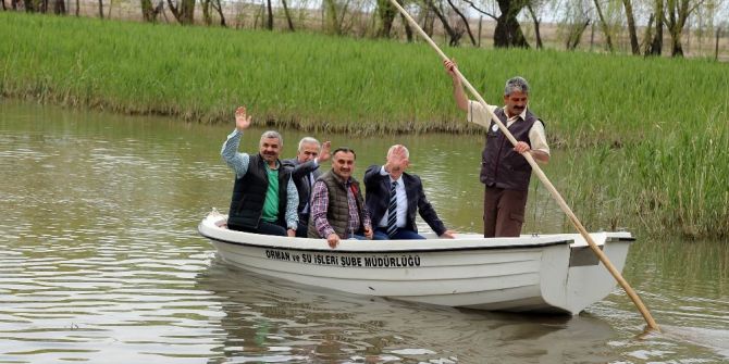 Sultan Sazlığı 10. Foto Safari Fotoğraf Yarışması Yapıldı