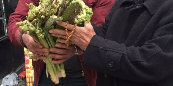 Bitlis’te Uçkun Tezgahlarda Yerini Almaya Başladı