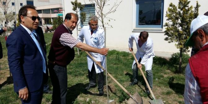 Iğdır Devlet Hastanesi Bahçesi Yeşilleniyor