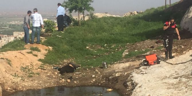 Köpek Sahiplenme Tartışmasında Kan Aktı: 2 Ölü, 5 Yaralı