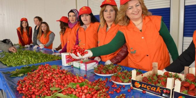 Ege’nin En Büyük Kiraz Pazarı Açıldı