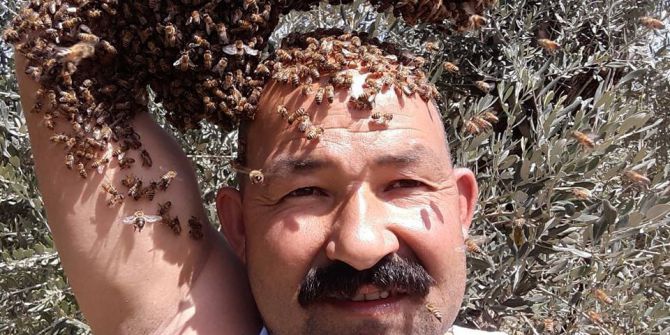 Arıları Baş Tacı Yapan Adam