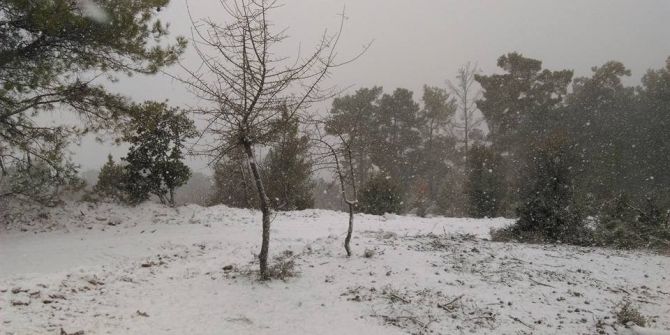 Aydın’da Asırda Bir Karşılaşılacak Manzara