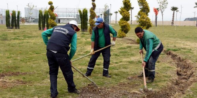 Ağapark’ta Ağaçlandırma Çalışması