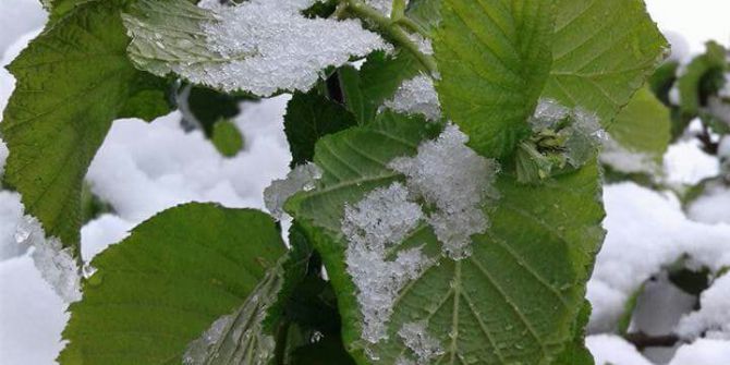Yığılca’da 23 Nisan Kutlamalarına Kar Engeli