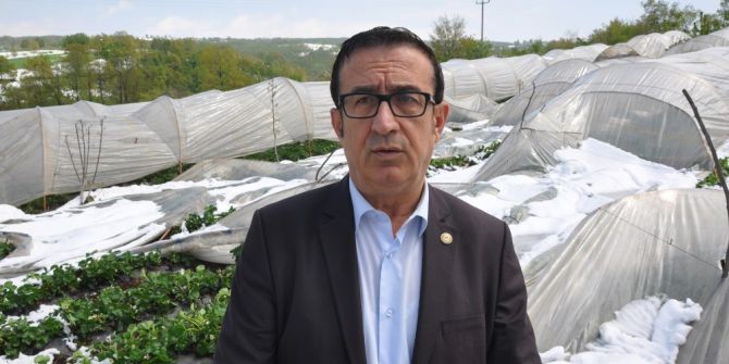 Seralar Çöktü, Çilek Üreticisi Perişan Oldu