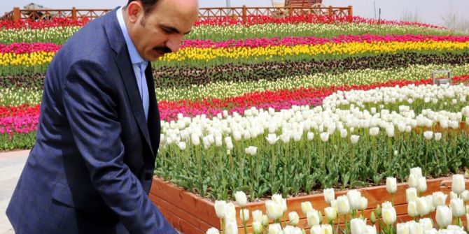 Tropikal Kelebek Bahçesine Ziyaretçi Akını