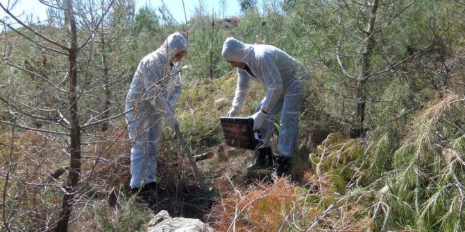Antalya’da Çam Kese Böceği Tedbirleri