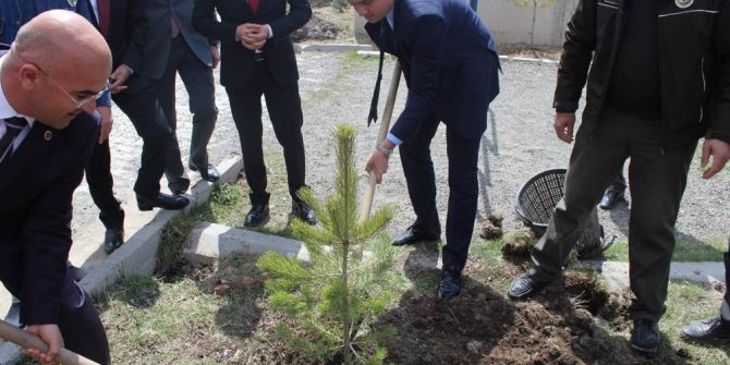 Kaymakam Keklik İle Başkan Altun Öğrencilerle Birlikte Fidan Dikti