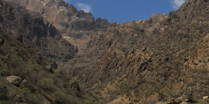 Pancar Toplarken Uçurumdan Yuvarlandı