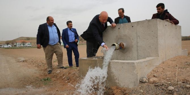 Çolakbayrakdar, "Çiftçilerimizin Ülke Ekonomisine Katkısı Daha Da Artacak"