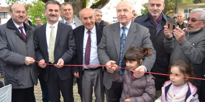 Külliye’nin Zeytinleri Gemlik’ten