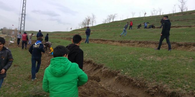 Ağçed İzcileri Yüzlerce Fidanı Toprakla Buluşturdu