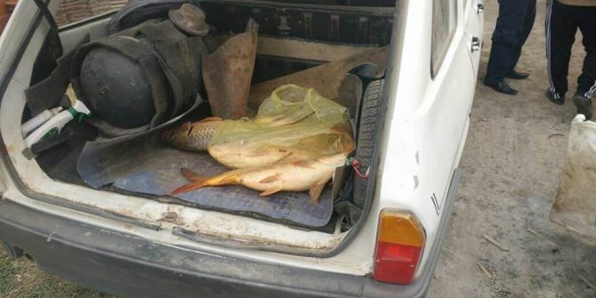 Beyşehir’de Elektro Şok İle Avlanan Balıklar Ele Geçirildi