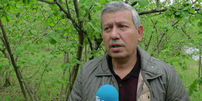 Kar Yağdı, Fındık Üreticisini Korku Sardı