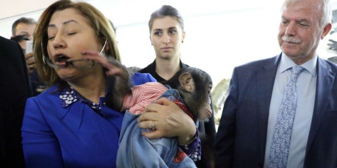 Şempanze Can, Belediye Başkanı Şahin’e Zor Anlar Yaşattı