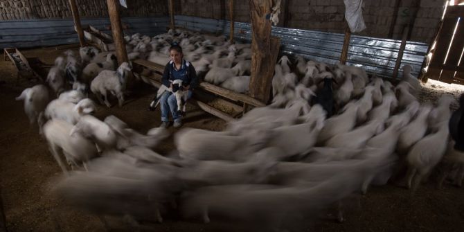 Sultan Sazlığı 10. Foto Safari Yarışması Tamamlandı