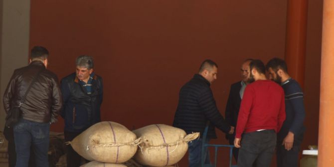 Toprak Mahsulleri Ofisi Giresun’da Fındık Alımına Başladı