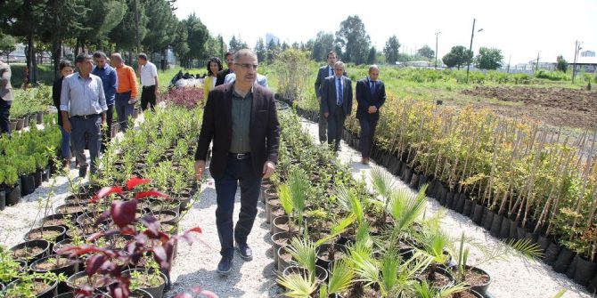 Adana’ya Macera Temalı Botanik Park