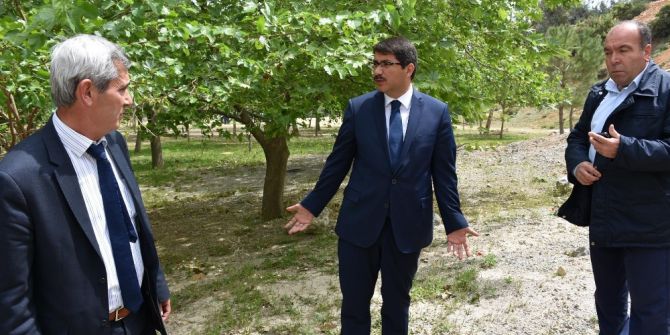 Şehzadeler Yeni Mesire Alanına Kavuşuyor