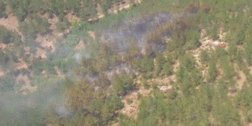 Çanakkale’de Orman Yangını Kontrol Altına Alındı