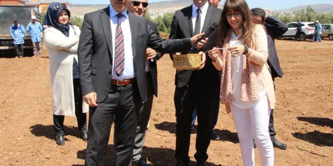 Üniversite Hobi Bahçeleri Sahiplerini Buldu