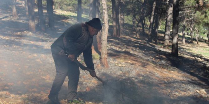 Çıkan Orman Yangınını Vatandaşlar Söndürdü