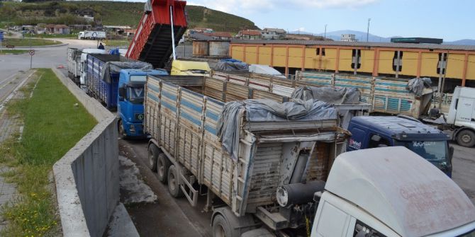 Tmo’dan Arpa Fiyatlarına Müdahale