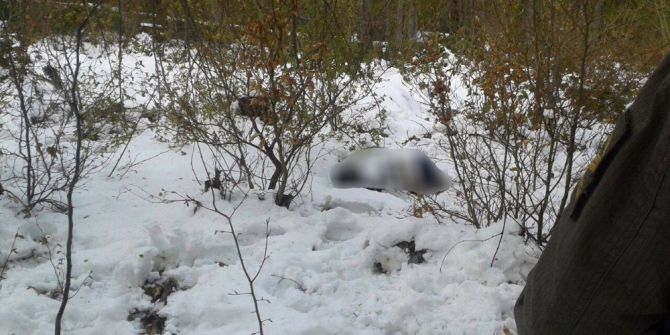 Kayıp Yaşlı Adaman Cesedi Ormanlık Alanda Bulundu