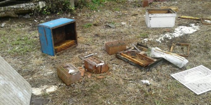 Sakarya’da Ayılar Arı Kovanlarına Saldırdı