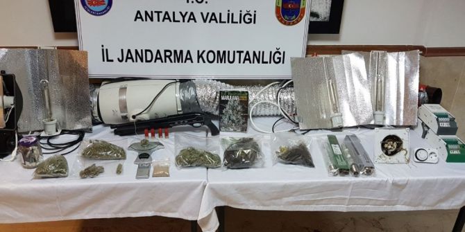 Apartman Dairesinde Uyuşturucu İçin Sera Kurdular